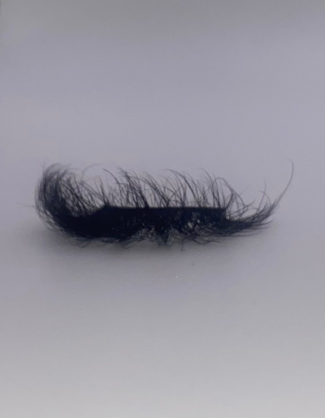 *0606 Lashes