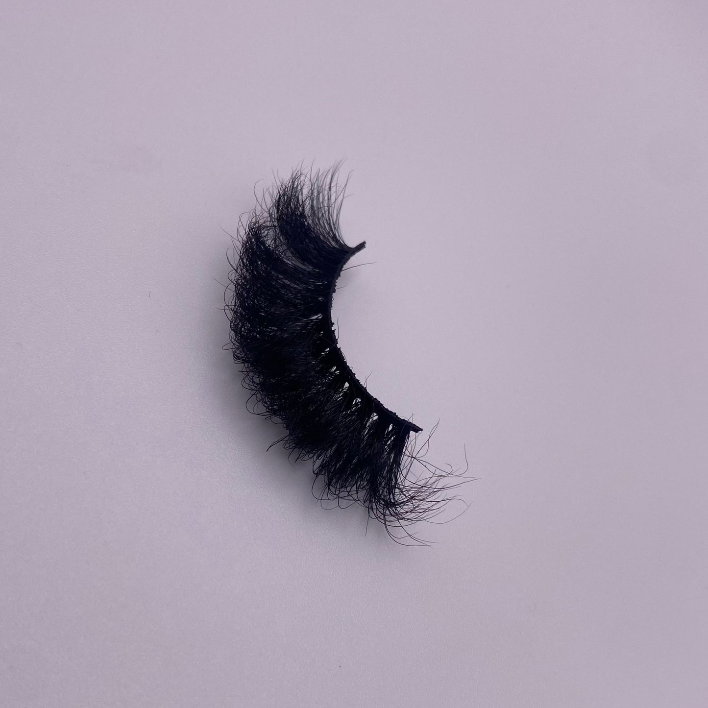 Dollas Lashes