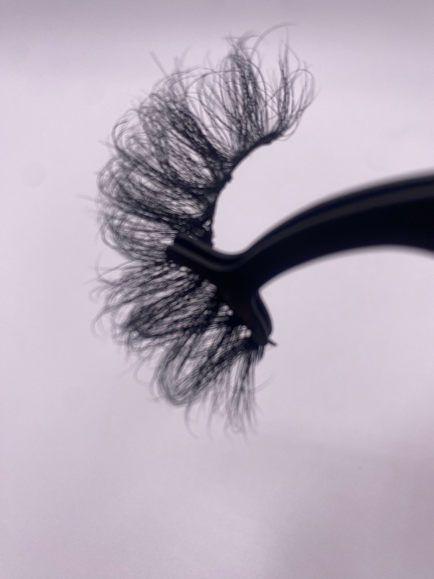 Seductive Lashes