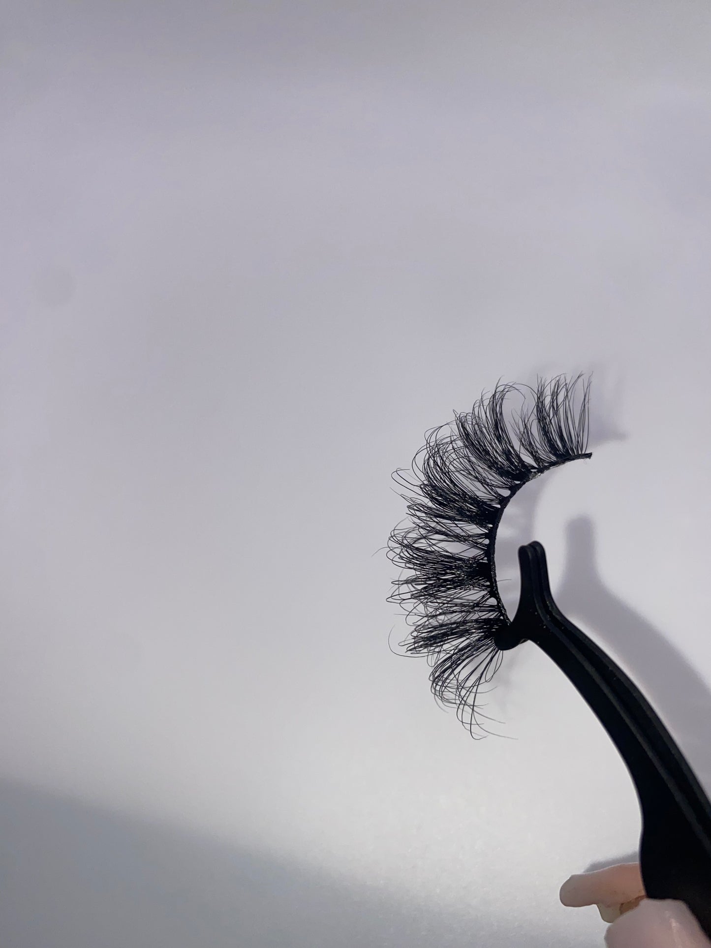 Spotlight Lashes